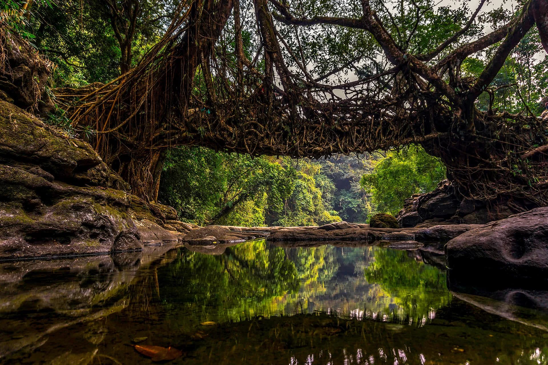 Meghalaya 7 Days Trip